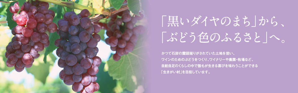 歌志内太陽ファームでは、生きる喜びを味わうことができる「生きがい村」を目指しています。